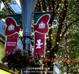 楼体与景观照明的艺术融合 彩灯串在现代亮化工程中的应用与选择