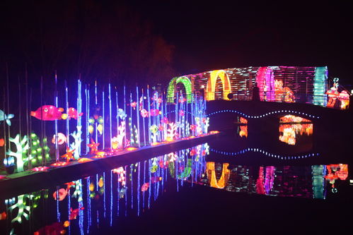 光影盛宴，奇幻启航 揭秘武汉欢乐谷5000万盏花灯背后的匠心制造